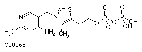 Thiamine Diphosphate