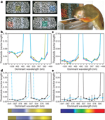 Figure 2 : Pre-therapy colour vision and possible treatment 
outcomes. Unfortunately we are unable to provide accessible alternative 
text for this. If you require assistance to access this image, or to 
obtain a text description, please contact npg@nature.com