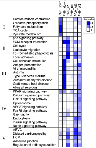 Fig4