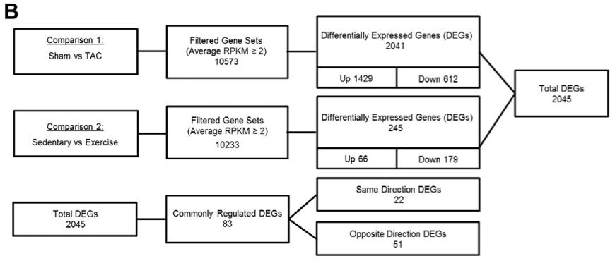 Fig 1B