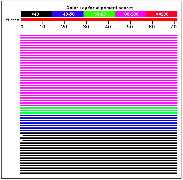 Protein Scores