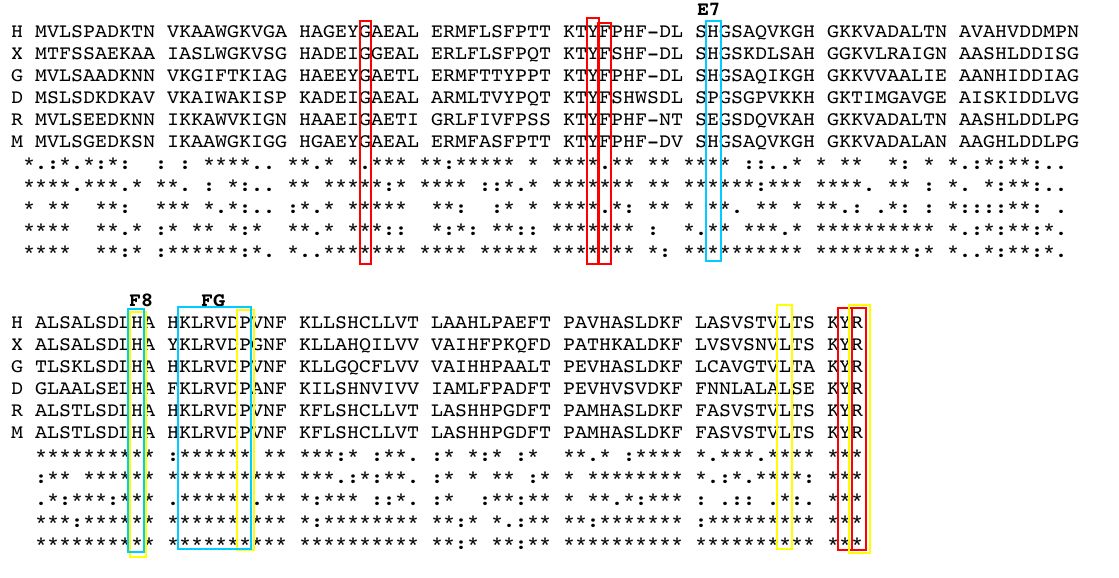 Analysis of evolutionary conserved amino acid residues of hOCT1 by