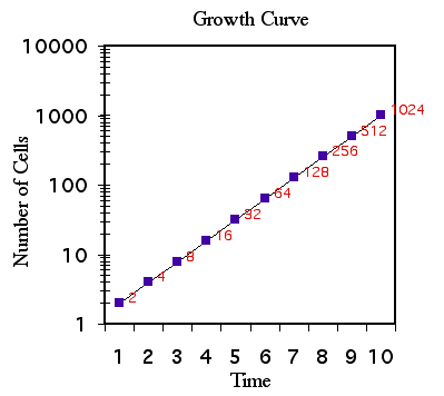 linear growth graph