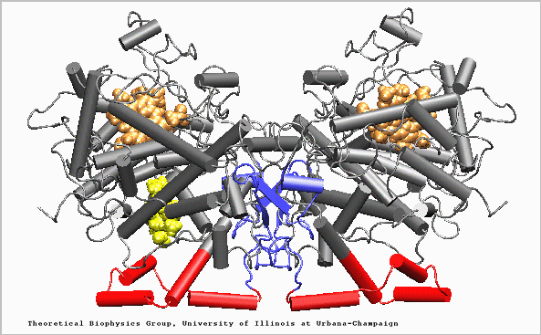 structure.gif (66224 bytes)