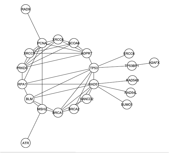 connection_graph_final.png