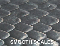 Smooth Scales