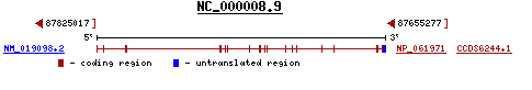 OMIM - CNGB3