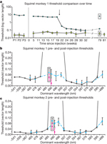 Figure 3 : Gene therapy produced trichromatic colour vision. 
Unfortunately we are unable to provide accessible alternative text for 
this. If you require assistance to access this image, or to obtain a 
text description, please contact npg@nature.com