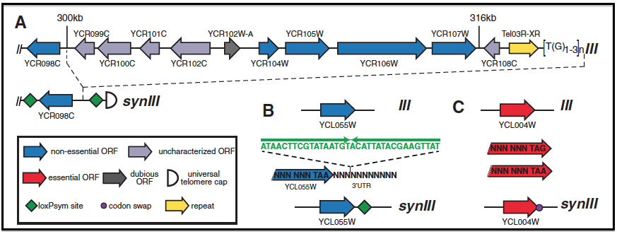 Fig1ABC