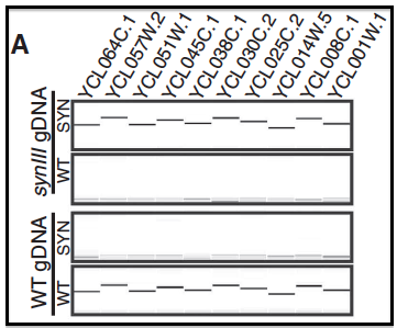 Fig3A