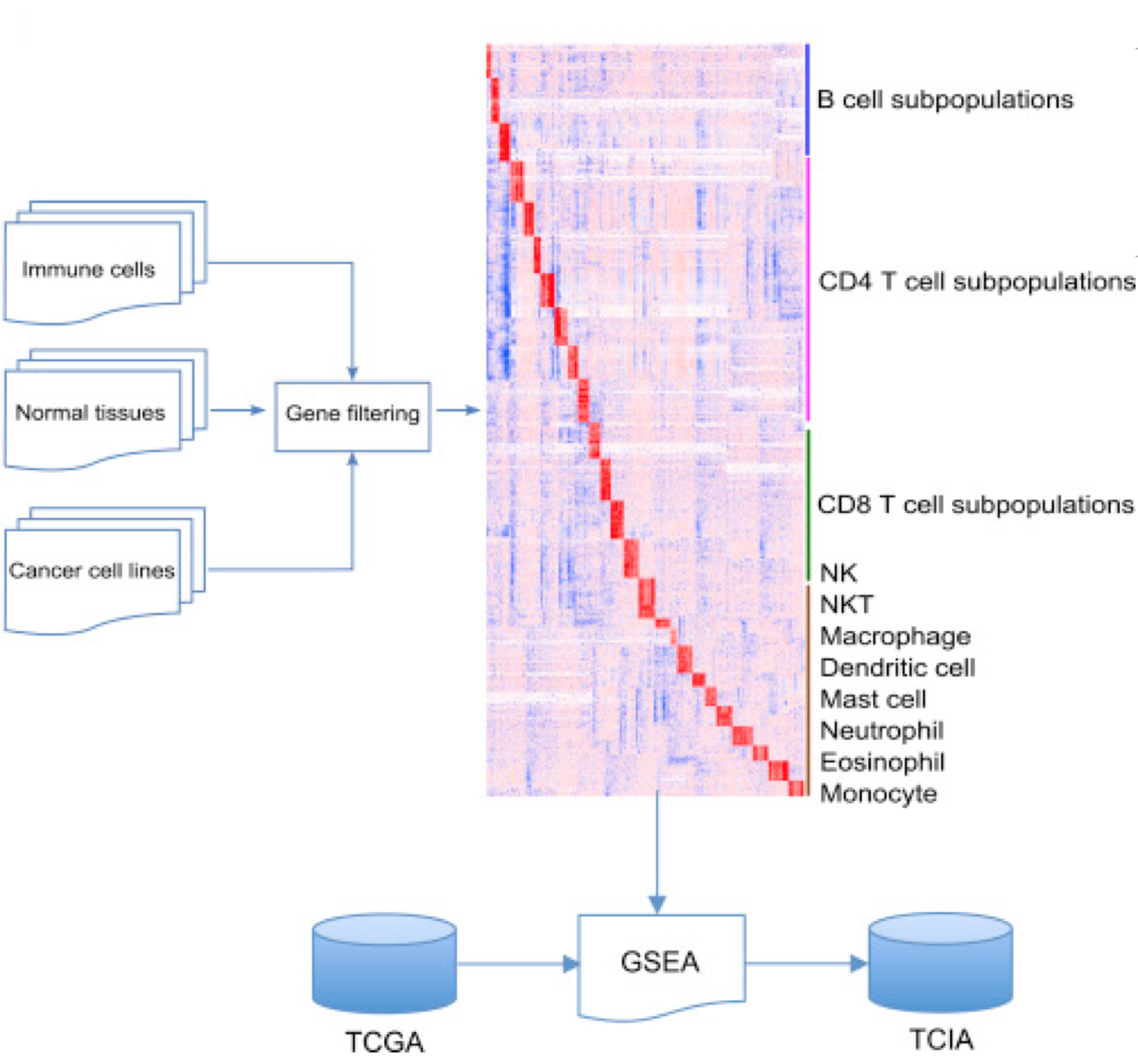 Immune Identification